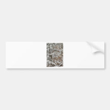 bird in winter bumper sticker