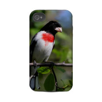 Bird iPhone4 Case Iphone 4 Tough Case