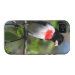 Back (Horizontal)