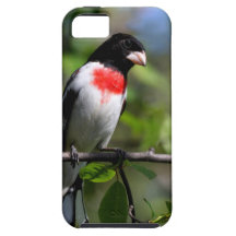 Bird iPhone4 Case iPhone 5 Covers