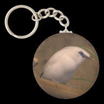 bird keychain keychains