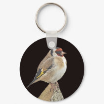 Bird keychains