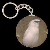 bird keychain keychains