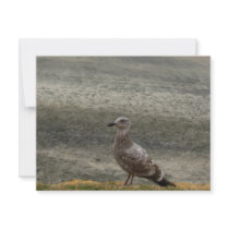 Bird Layers invitations