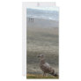 Bird Layers Custom Rack Cards