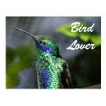 Bird Lover Postcards
