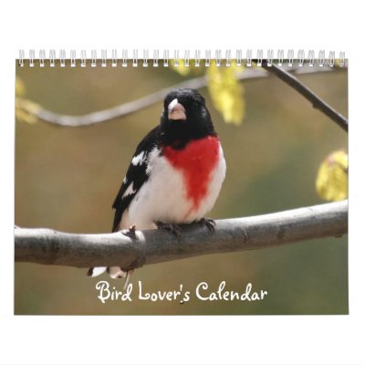 Bird Lover's Calendar by shellmart