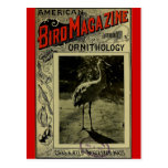 Bird Magazine jul 3 1903 Post Cards