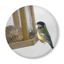 Bird Magnet