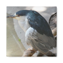 bird fridge magnet