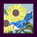 Bird Magnets