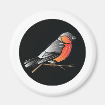 Bird Magnets