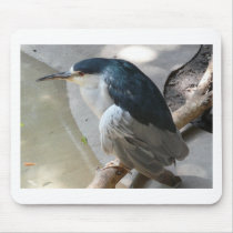 bird mousepad