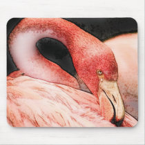 bird mousepads