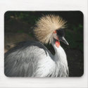 bird mousepads