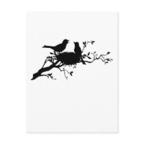 Bird Nest Postcards