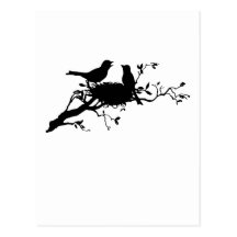 Bird Nest Postcards