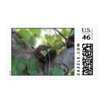 Bird Nest stamps