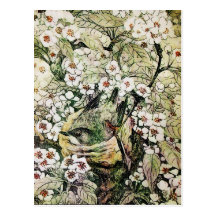 BIRD NEST ,white brown green yellow Post Cards
