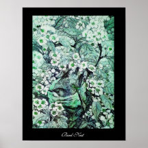 BIRD NEST ,white green black Print