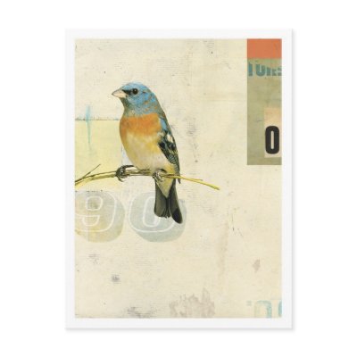 Bird No.1 Postcards by KareemRizk