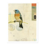 Bird No.1 Postcards