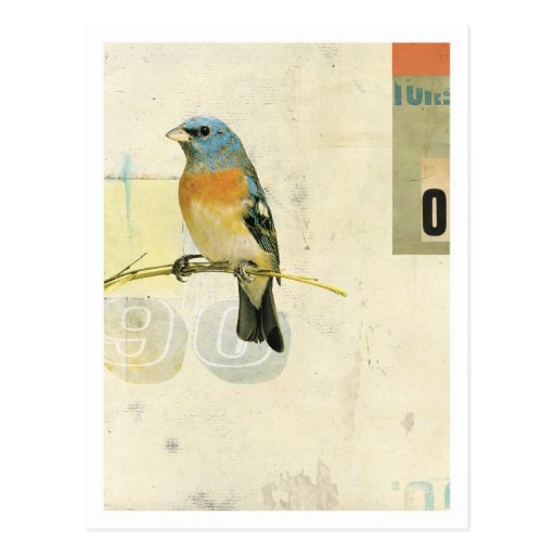 Bird No.1 Postcards