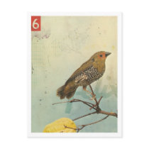Bird No.2 postcards