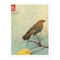 Bird No.2 postcards
