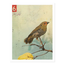 Bird No.2 Postcard
