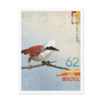 Bird No.3 Postcard