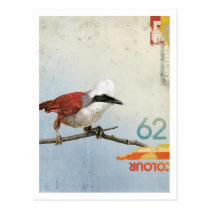 Bird No.3 postcards