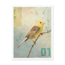 Bird No.4 postcards