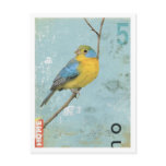 Bird No.5 Post Cards
