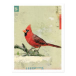 Bird No.6 Post Card