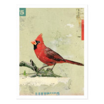 Bird No.6 postcards
