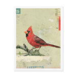 Bird No.6 Post Card