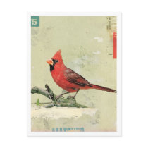 Bird No.6 postcards by KareemRizk Bird No.6 postcards
