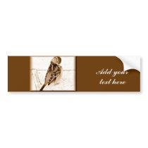 Bird of love_ bumper stickers