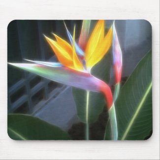 Bird of Paradise 10 Dreamy mousepad