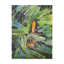 bird_of_paradise_2 postcards by dereklovessheila bird_of_paradise_2 postcards