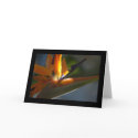 Bird-of-Paradise 3 Card by pulsDesign Bird-of-Paradise 3 Card