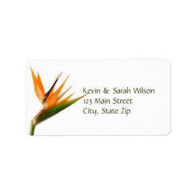 Bird of Paradise Address Labels