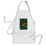 Bird of paradise aprons