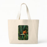 Bird of paradise bags