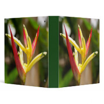 Bird of Paradise binders by dorenemlorenz Bird of Paradise binders
