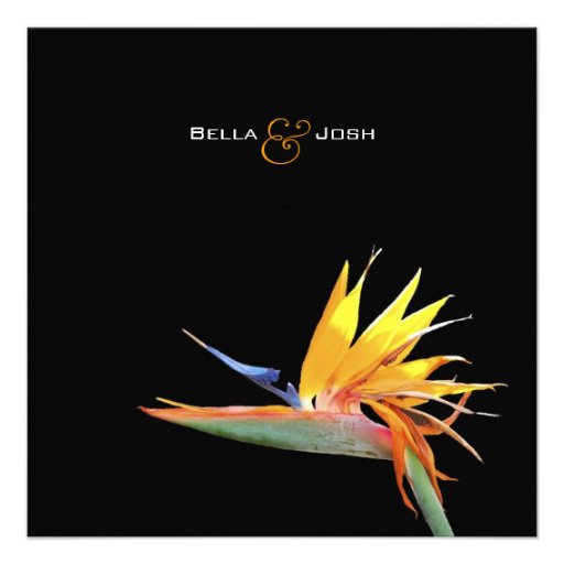 Bird of Paradise Bridal Shower Invitation