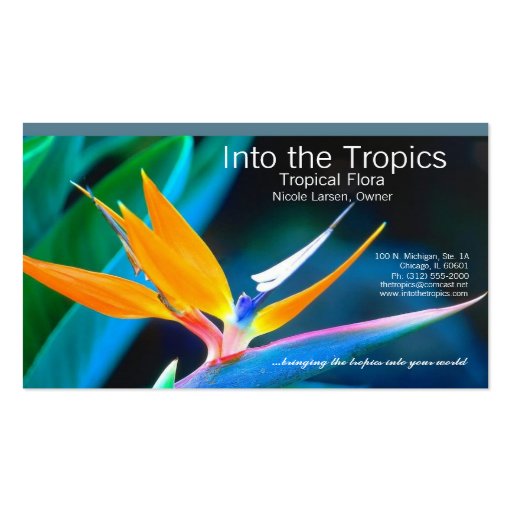 bird-of-paradise business card (front side)