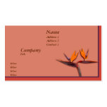 Bird of Paradise business cards
