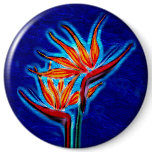 Bird of Paradise Button